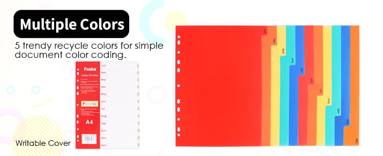 Assorted Colors Index Divider