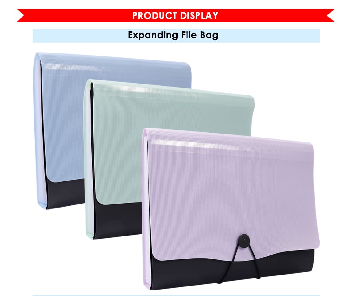 Expanding File Bag
