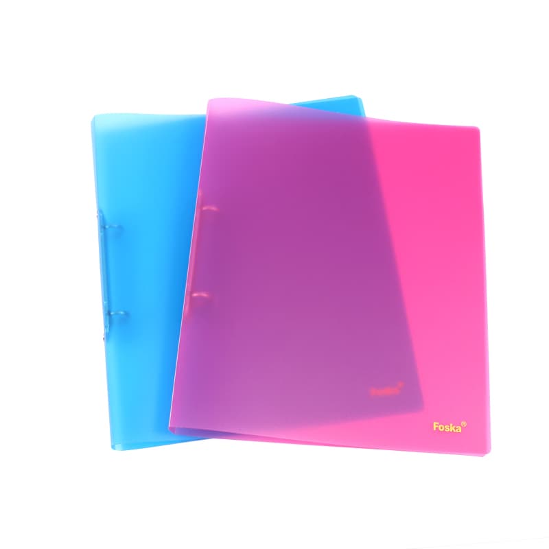Colorful ring binder hole file