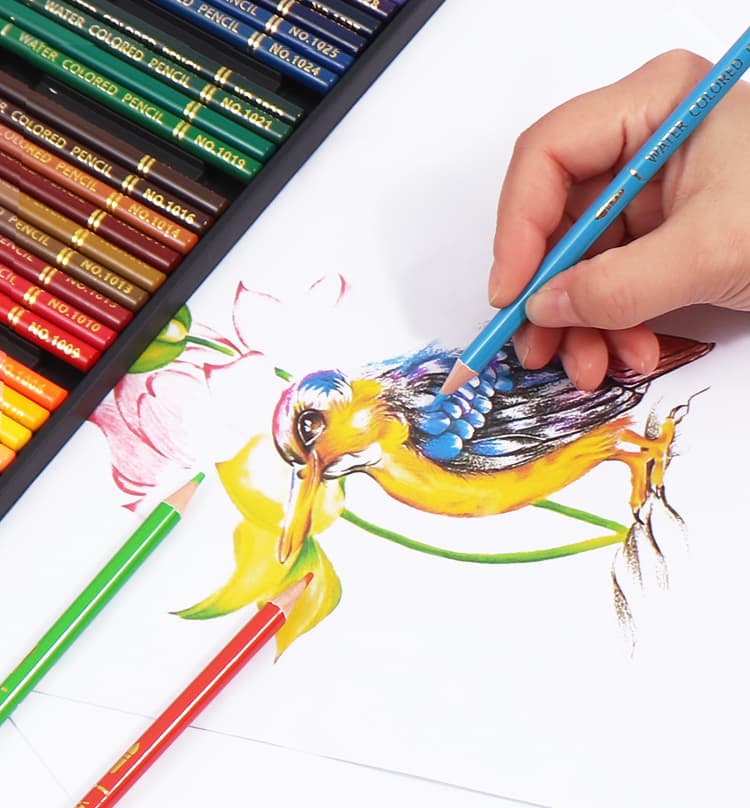 Durable Water Coloured Pencil