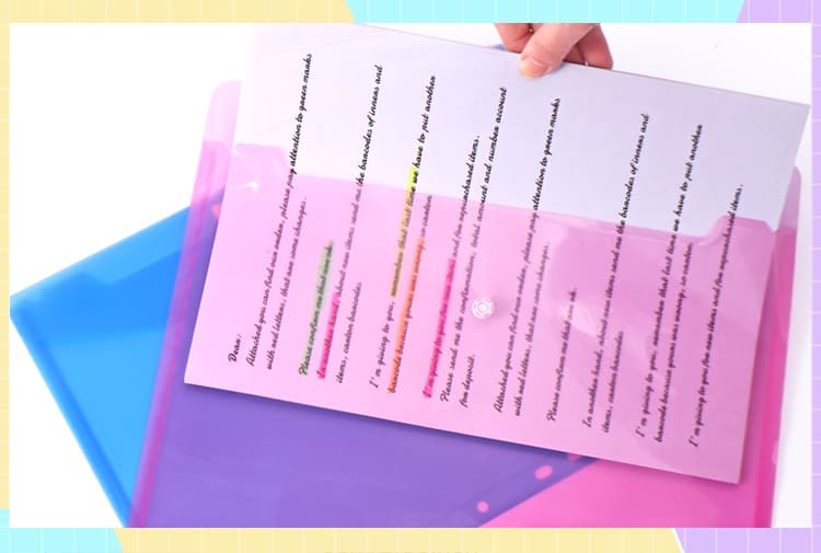 Transparent File Folder