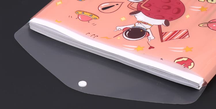 Large Capacity Buckled File Pocket Large Capacity Buckled File Pocket